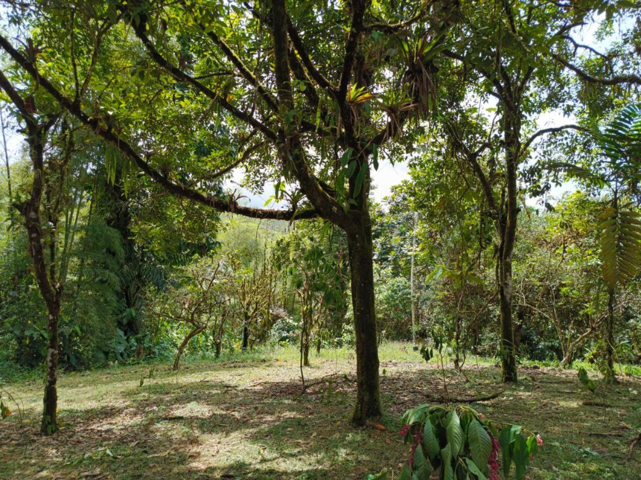 Hosteria Sapos Y Ranas Milpe Kültér fotó